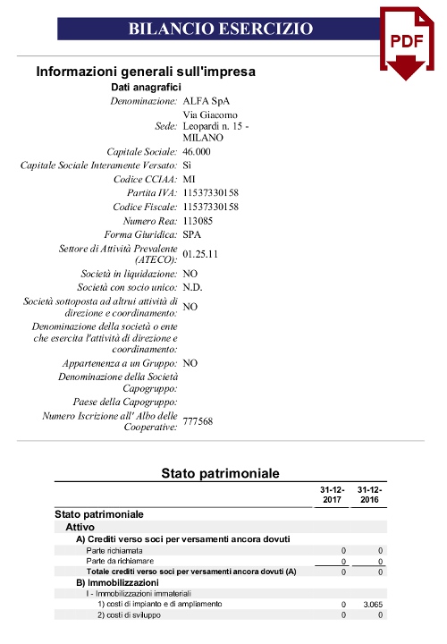 bilancio xbrl esempio PDF