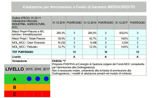 analisi di bilancio software MCC