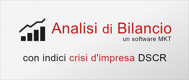 analisi di bilancio software calcolo DSCR