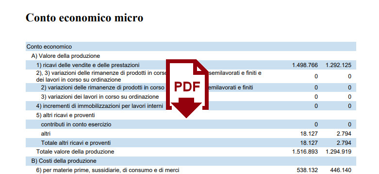 conto economico pdf