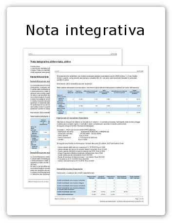 nota integrativa xbrl