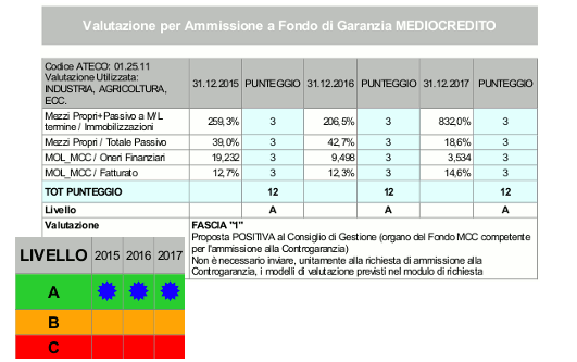 analisi di bilancio mediocredito centrale analisi di bilancio software MCC