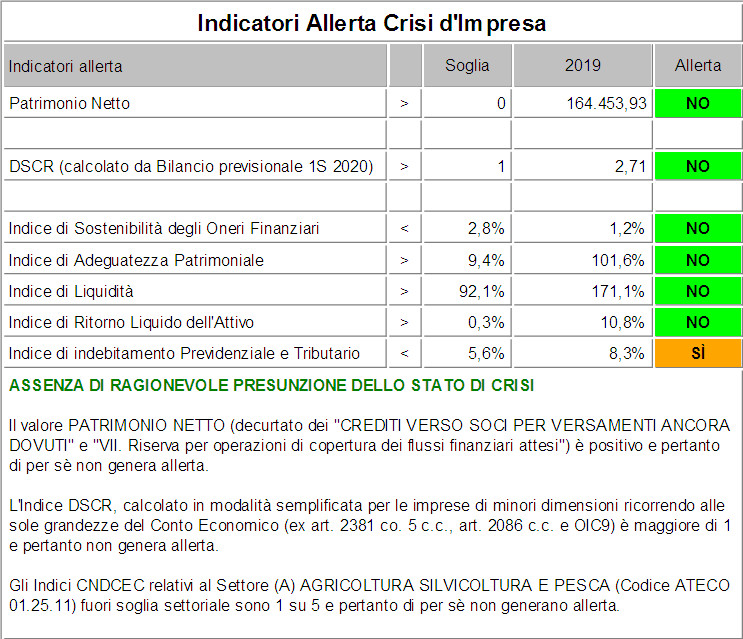 DSCR indicatori allerta crisi impresa