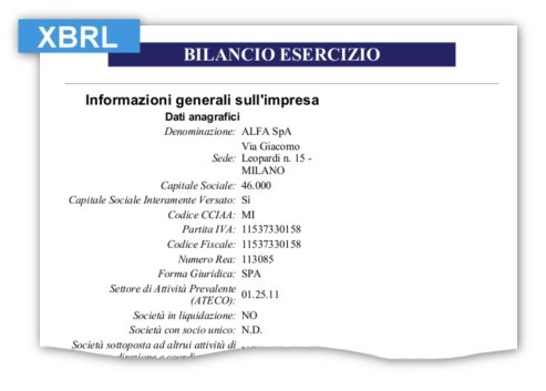 report bilanci aziende xbrl analisi di bilancio software XBRL